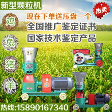 大型飼料粉碎圖片在魚類養殖技術中的重要性